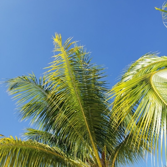 Meet your Posher, Lisa - Picture 1 of 1